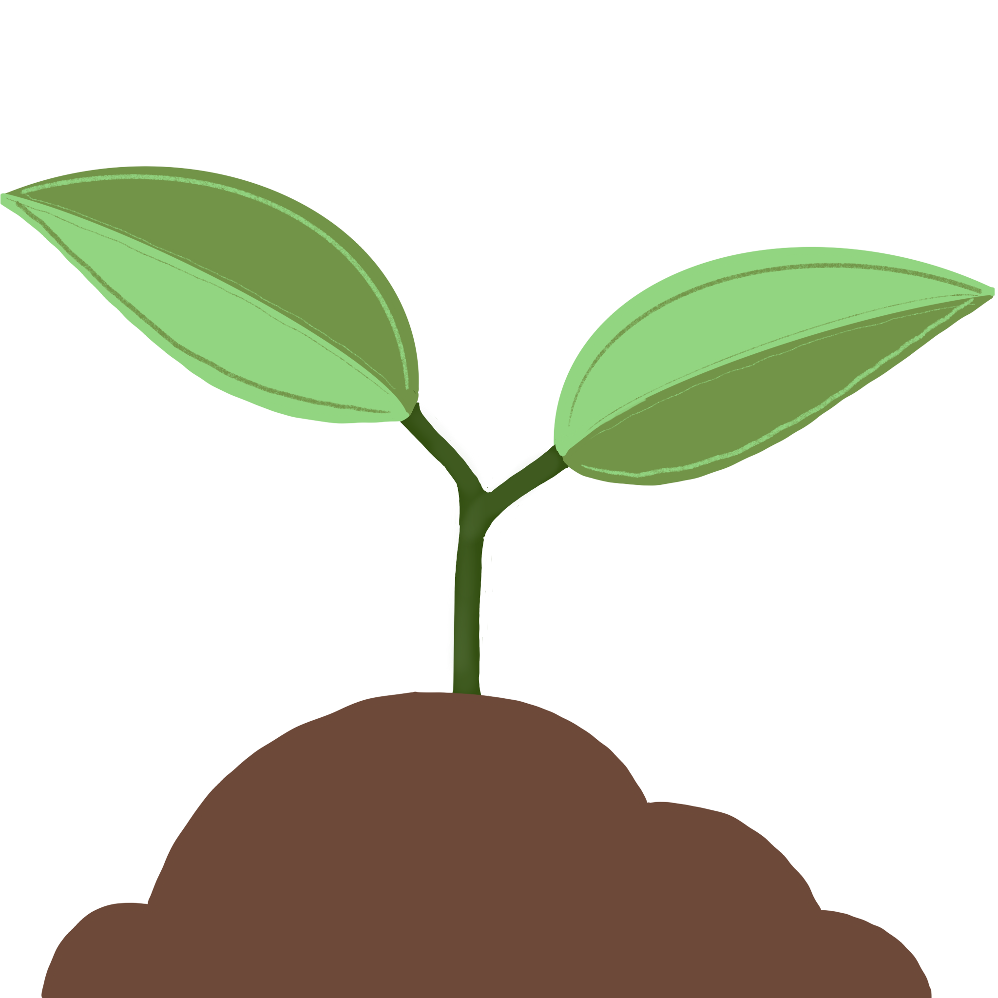 Environmental Data & Mapping